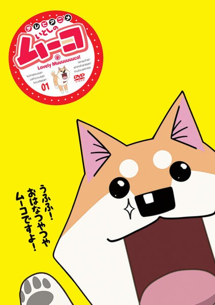 DVD「いとしのムーコ 1」作品詳細 - GEO Online/ゲオオンライン