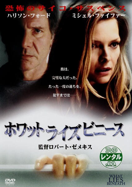 DVD「ホワット・ライズ・ビニース 特別編」作品詳細 GEO Online/ゲオオンライン