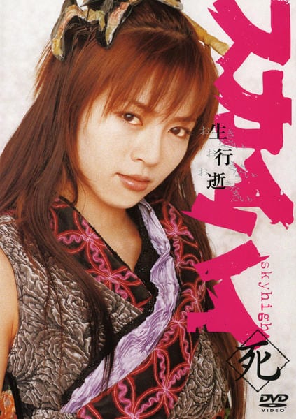 DVD「スカイハイ 死」作品詳細 - GEO Online/ゲオオンライン