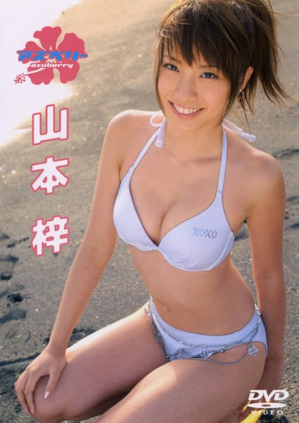DVD「山本梓/アズベリー」作品詳細 - GEO Online/ゲオオンライン