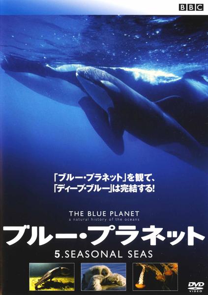 ブループラネットdvd  確認用 DVD「BBC ブルー・プラネット SEASONAL SEAS」作品詳細
