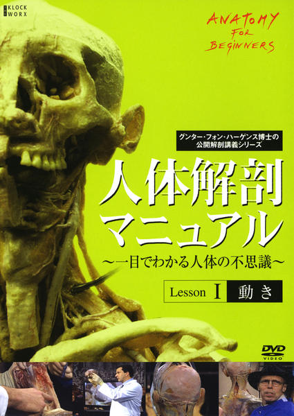 DVD「人体解剖マニュアル～一目でわかる人体の不思議～ I 動き」作品