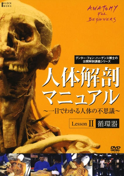 DVD「人体解剖マニュアル～一目でわかる人体の不思議～ Ⅱ 循環器」作品詳細 GEO Online/ゲオオンライン