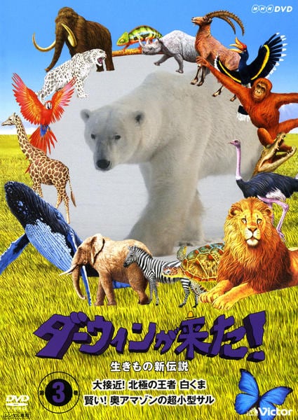 激レアsumatran folk cinema[DVD]/ インドネシア DVD「ダーウィンが来た！生きもの新伝説 3」作品詳細 - GEO Online