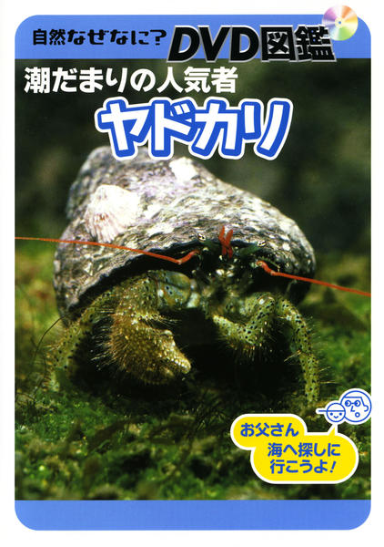 DVD「自然なぜなに？DVD図鑑ヤドカリ」作品詳細 - GEO Online/ゲオ