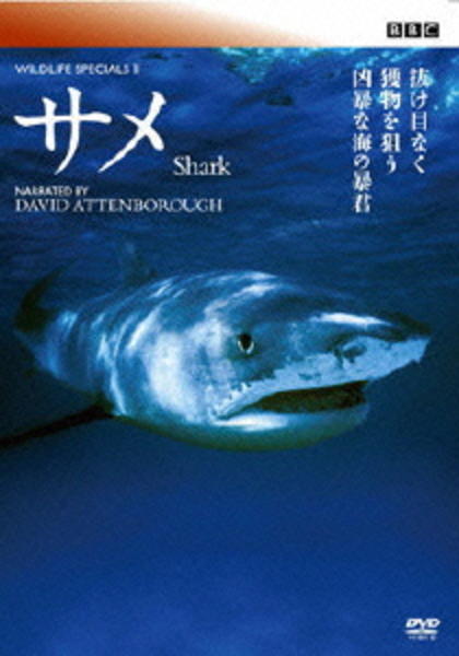 DVD「BBC ワイルド・ライフ スペシャルⅡ サメ」作品詳細 - GEO