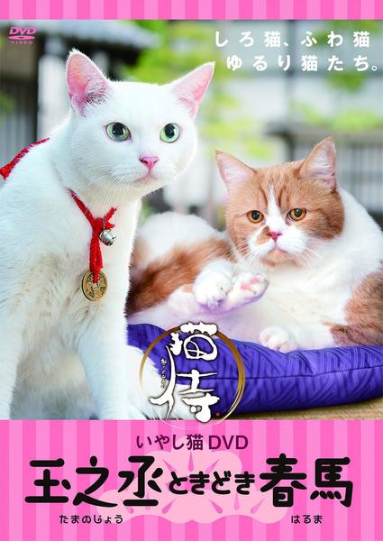 DVD「猫侍 玉之丞ときどき春馬」作品詳細 - GEO Online/ゲオオンライン