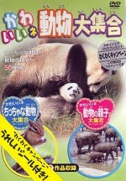 DVD「動物大好き！ かわいいネ！どうぶつ大集合」作品詳細 - GEO