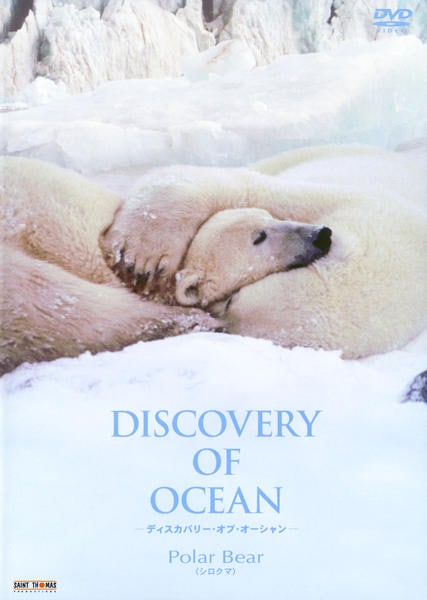 DVD「Discovery of Ocean －ディスカバリー・オブ・オーシャン－ Polar Bear（シロクマ）」作品詳細 - GEO