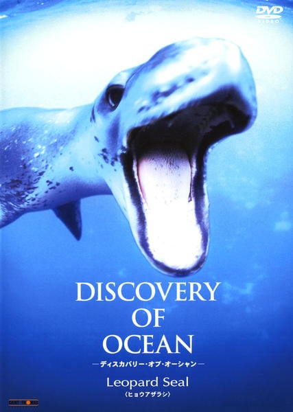 APOGEE CD Sea Gazer DVD付き DVD「Discovery of Ocean －ディスカバリー・オブ