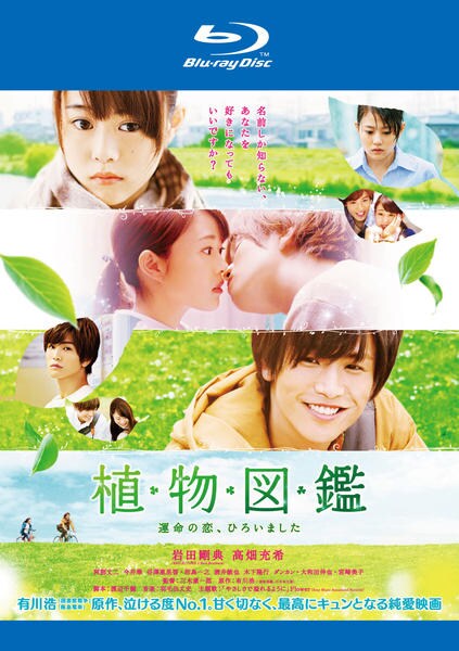 Blu-ray「植物図鑑 運命の恋、ひろいました」作品詳細 - GEO Online