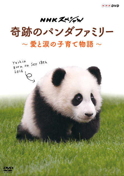 ｎｈｋスペシャル 奇跡のパンダファミリー 愛と涙の子育て物語 作品詳細 Dvd Cdレンタル ゲーム販売ならgeo ゲオ