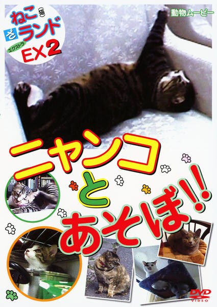 DVD「ねこ（猫） ざ ランド エクストラ（EX）2 ニャンコとあそぼ