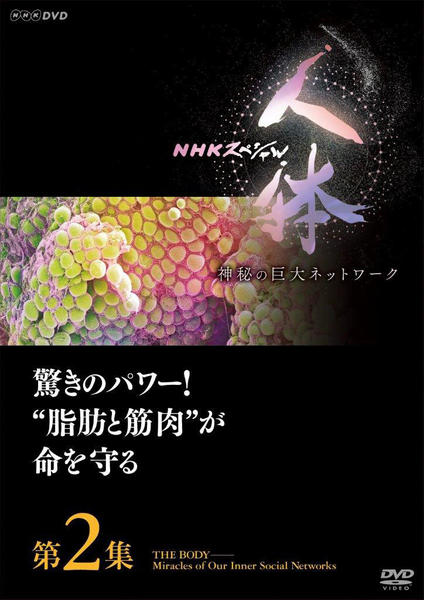 DVD「NHKスペシャル 人体 神秘の巨大ネットワーク 第2集 驚きの