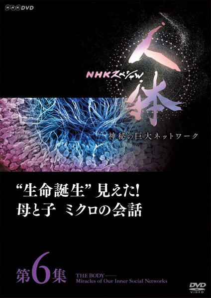 DVD「NHKスペシャル 人体 神秘の巨大ネットワーク 第6集 生命誕生