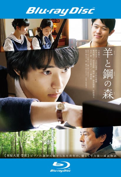 Blu-ray「羊と鋼の森」作品詳細 - GEO Online/ゲオオンライン