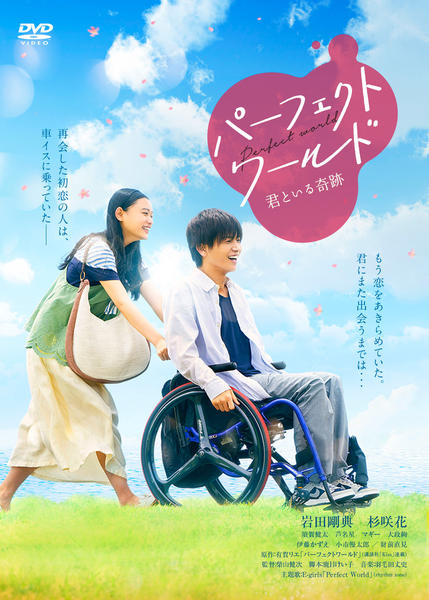 パーフェクトワールド 君といる奇跡のジャケット写真