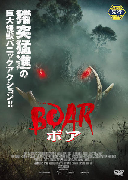 ボアのジャケット写真