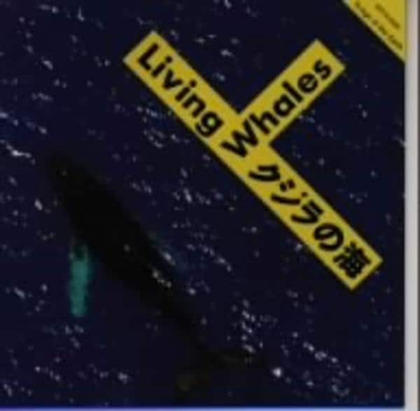 CD「クジラの海-Living Whales-」作品詳細 GEO Online/ゲオオンライン
