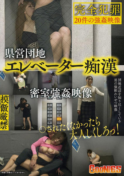 エレベーターレイプ 