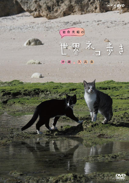 5/4迄値下げ 世界ネコ歩き DVD 25枚セット DVD「岩合光昭の世界ネコ歩き 沖縄 久高島」作品詳細 - GEO Online