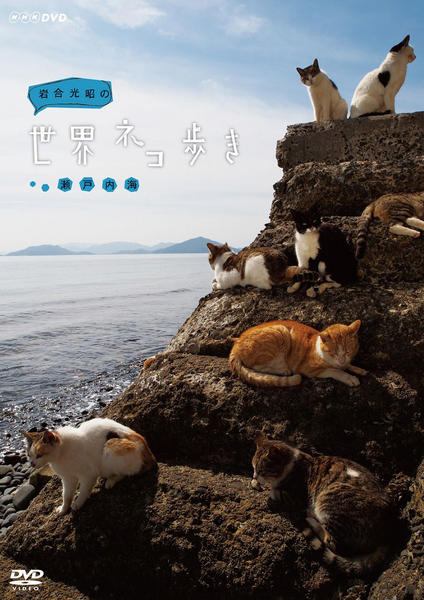 DVD「岩合光昭の世界ネコ歩き 瀬戸内海」作品詳細 - GEO Online/ゲオ