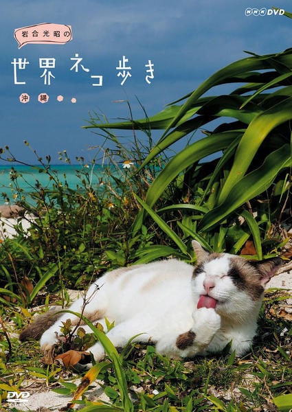 (未使用･未開封品)岩合光昭の世界ネコ歩き　沖縄　ブルーレイ DVD「岩合光昭の世界ネコ歩き 沖縄」作品詳細 - GEO Online/ゲオオンライン