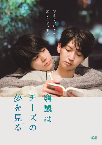 DVD「窮鼠はチーズの夢を見る」作品詳細 - GEO Online/ゲオオンライン