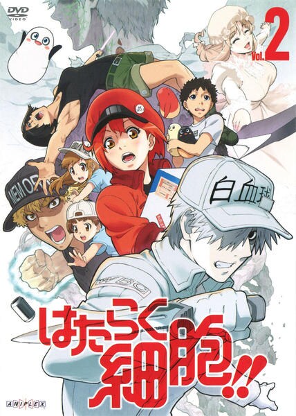 DVD「はたらく細胞！！ 2」作品詳細 - GEO Online/ゲオオンライン
