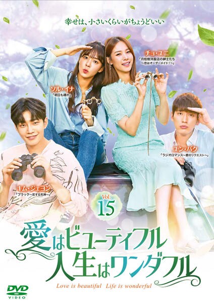 DVD「愛はビューティフル、人生はワンダフル Vol．15」作品詳細
