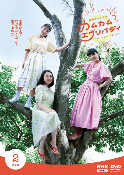 DVD「連続テレビ小説 カムカムエヴリバディ 完全版 2」作品詳細 - GEO