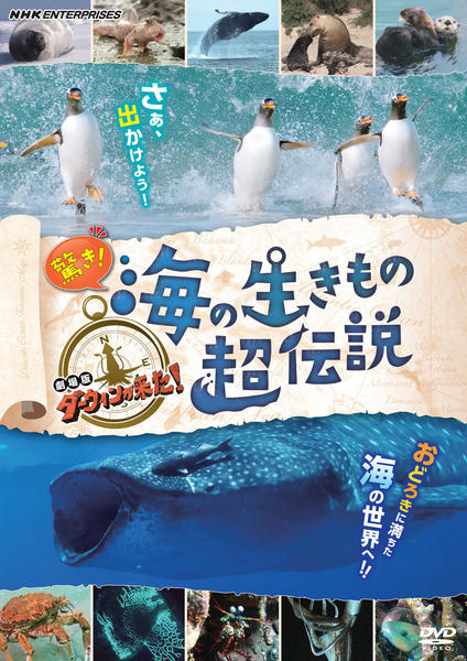 DVD「驚き!海の生きもの超伝説 劇場版ダーウィンが来た!」作品 DVD「驚き!海の生きもの超伝説 劇場版ダーウィンが来た!」作品