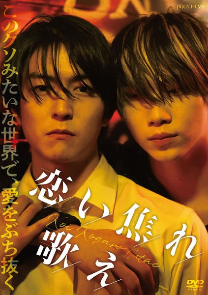 DVD「恋い焦れ歌え」作品詳細 - GEO Online/ゲオオンライン