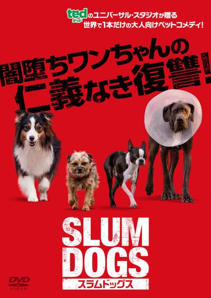 DVD「スラムドッグス」作品詳細 - GEO Online/ゲオオンライン