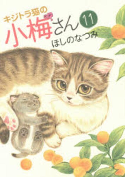 キジトラ猫の小梅さん 11 作品詳細 Dvd Cdレンタル ゲーム販売ならgeo ゲオ キジトラ猫の小梅さん 11 作品詳細 Dvd Cdレンタル ゲーム販売ならgeo ゲオ