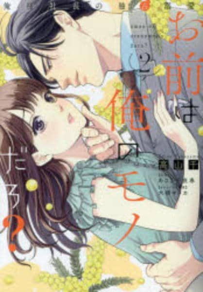 コミック「お前は俺のモノだろ？～俺様社長の独占溺愛～ ２」作品詳細