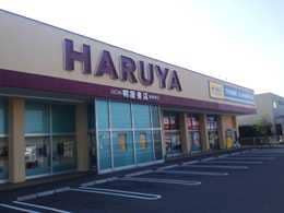 ＨＡＲＵＹＡプラスゲオ東岐波店